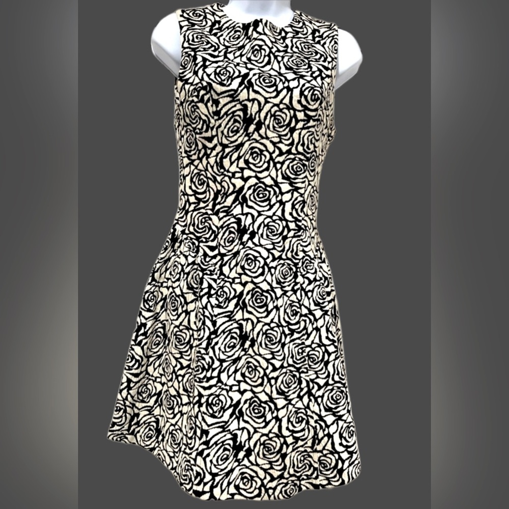 Rose Embroidered Dress